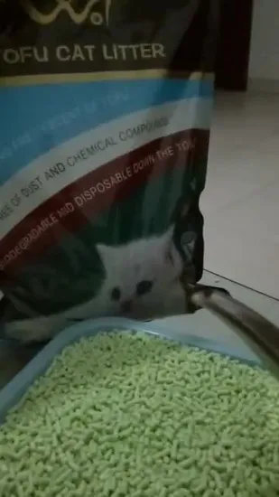High Quality, Fast Clump, No Stick Bottom Tofu Cat Litter