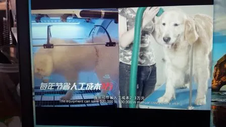 Automatic Pet Dryer Pet Hair Dryer Box for Grooming