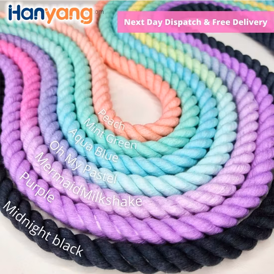 Hanyang Campione gratuito Guinzaglio per cani arcobaleno Guinzaglio per cani Guinzaglio per cani Guinzaglio per animali domestici Commercio all'ingrosso personalizzato