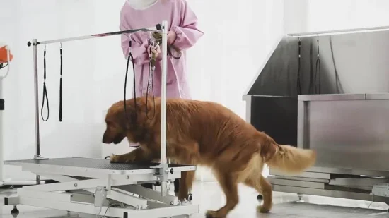 Tavolo di sollevamento elettrico per altri strumenti veterinari per toelettatura di cani da compagnia in acciaio inossidabile