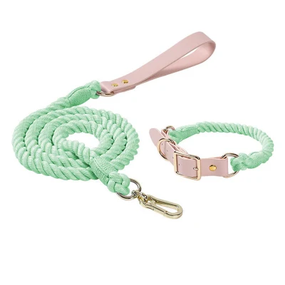 Guinzaglio e collare per animali domestici in PU in corda intrecciata, guinzaglio per collare per cani in pelle